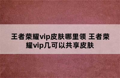 王者荣耀vip皮肤哪里领 王者荣耀vip几可以共享皮肤